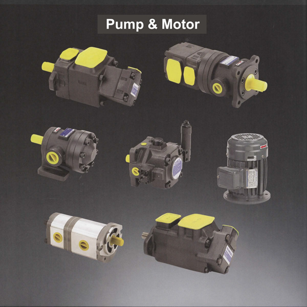 Hydraulic Pump and Motor